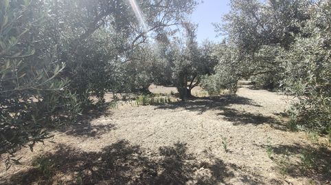 Photo 4 of Houses for sale in Camino San Tizo, 1s, Baza, Granada