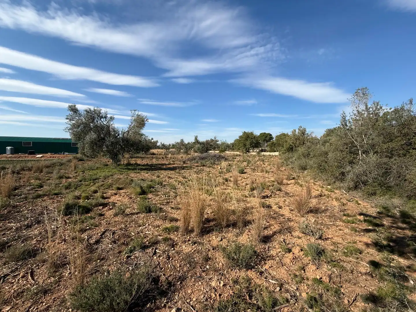 Terrain rustique à vendre à Urbanizaciones, imagen 6