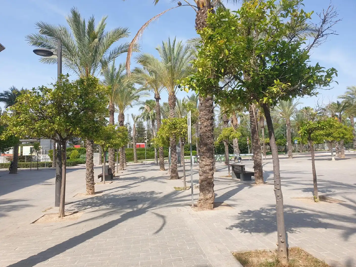 Vista exterior de Garaje en venta en San Vicente del Raspeig / Sant Vicent del Raspeig