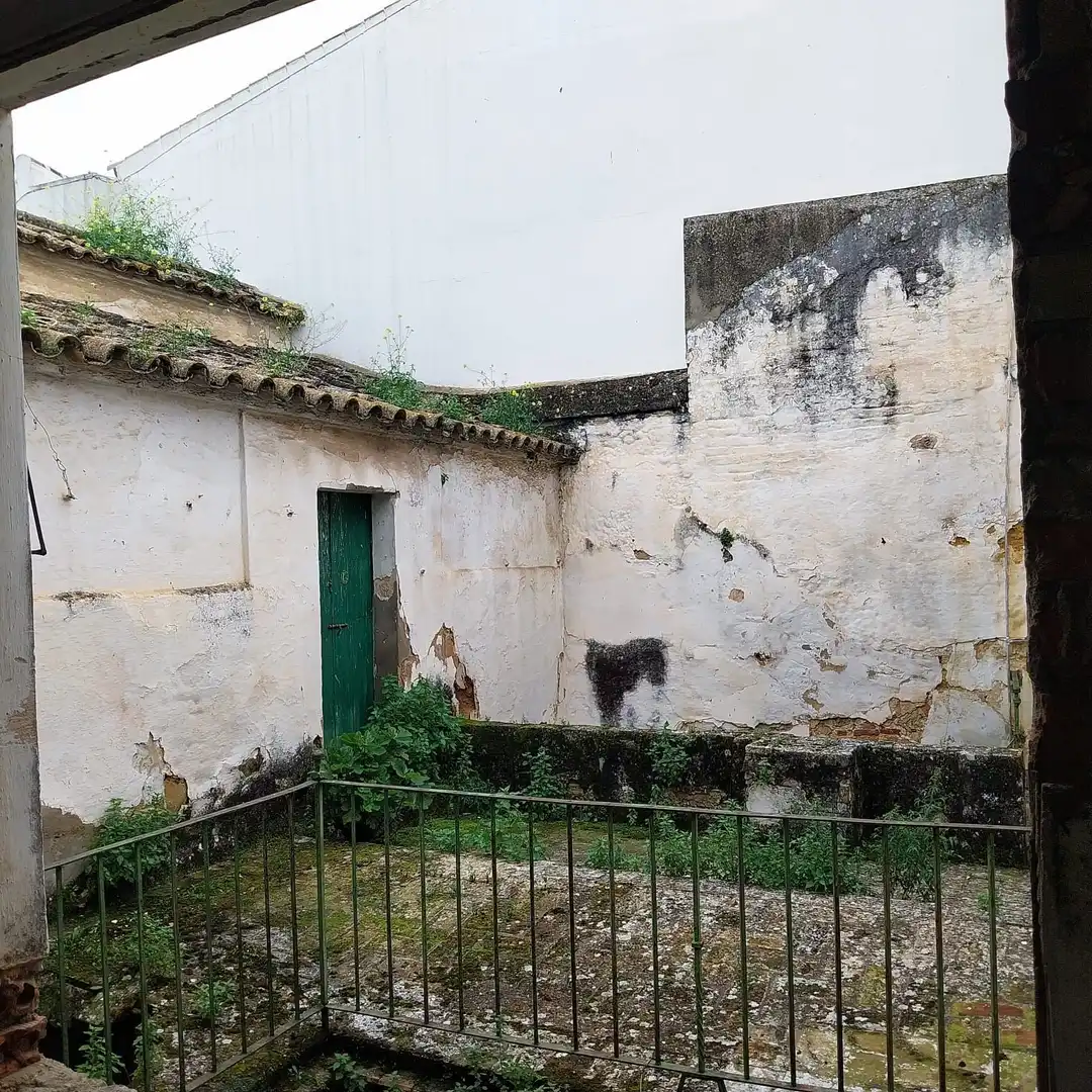 Vista exterior de Casa o xalet en venda en Carmona