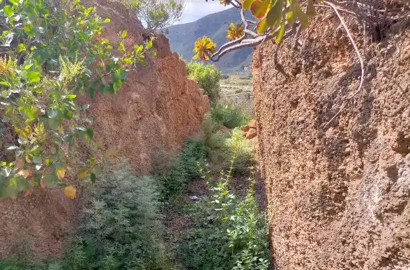 Rural land for sale in Centro, imagen 12