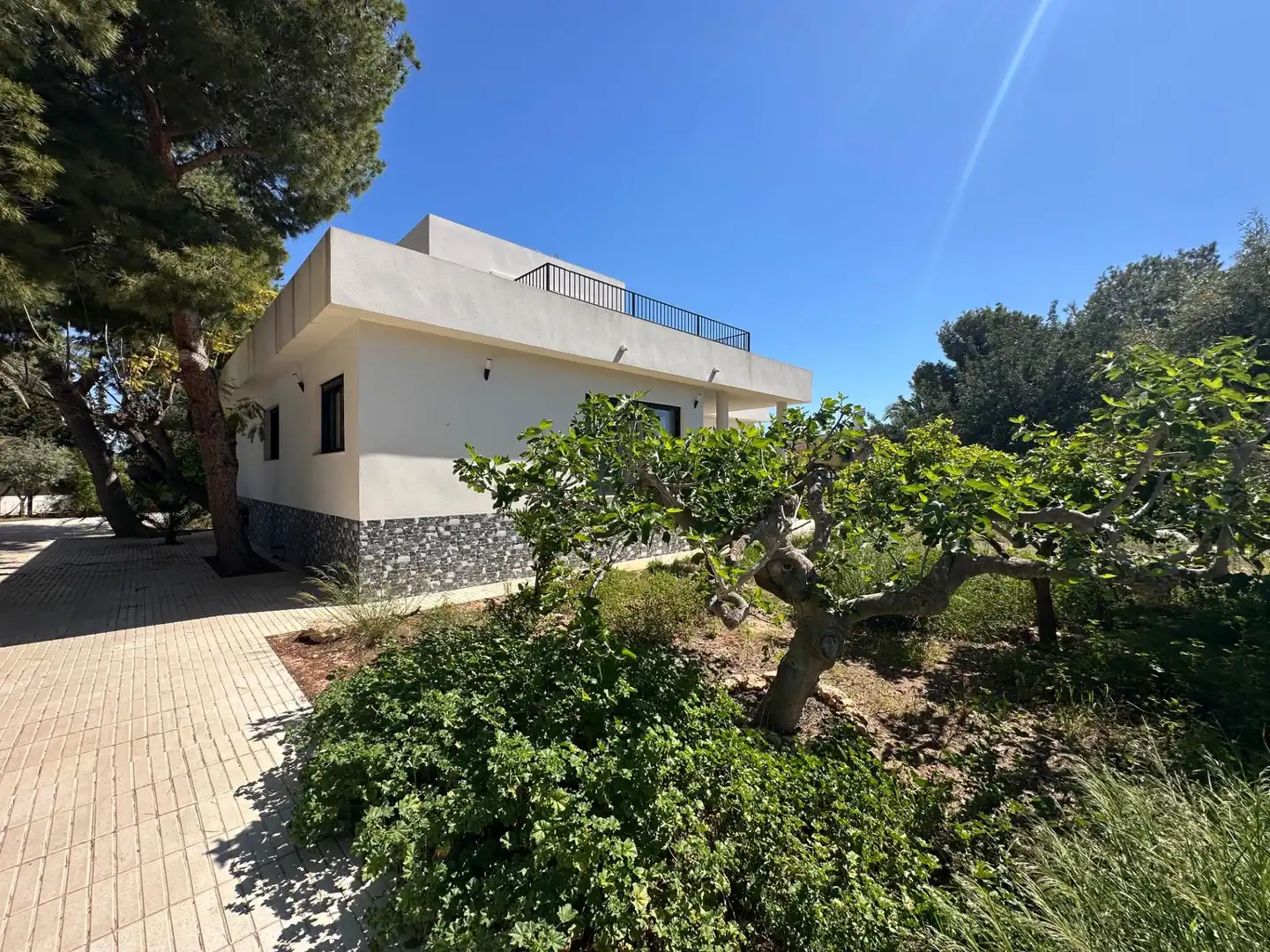 Exterior view of Houses for sale in San Vicente del Raspeig / Sant Vicent del Raspeig