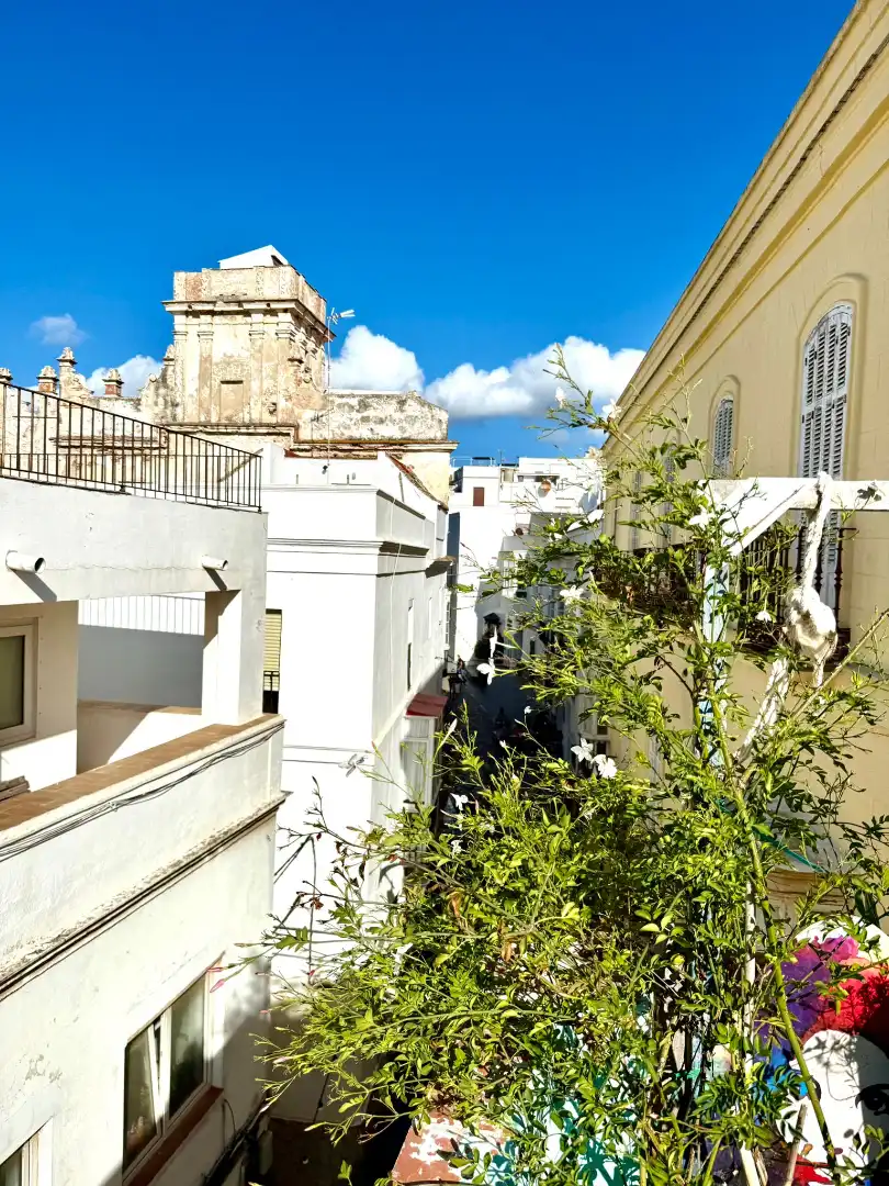 Àtic en venda a Calle Nuestra Señora de la Luz, imagen 21