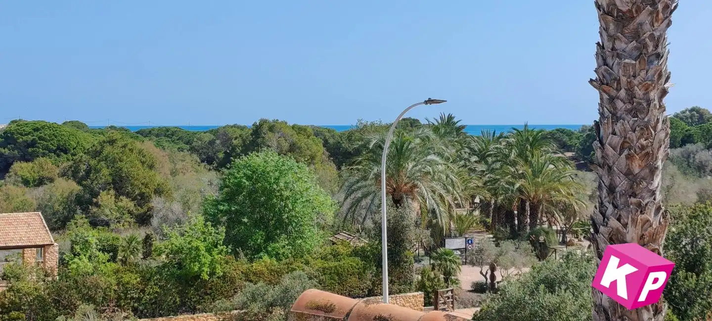 Bungalow con piscina en venta en Del Carabasí