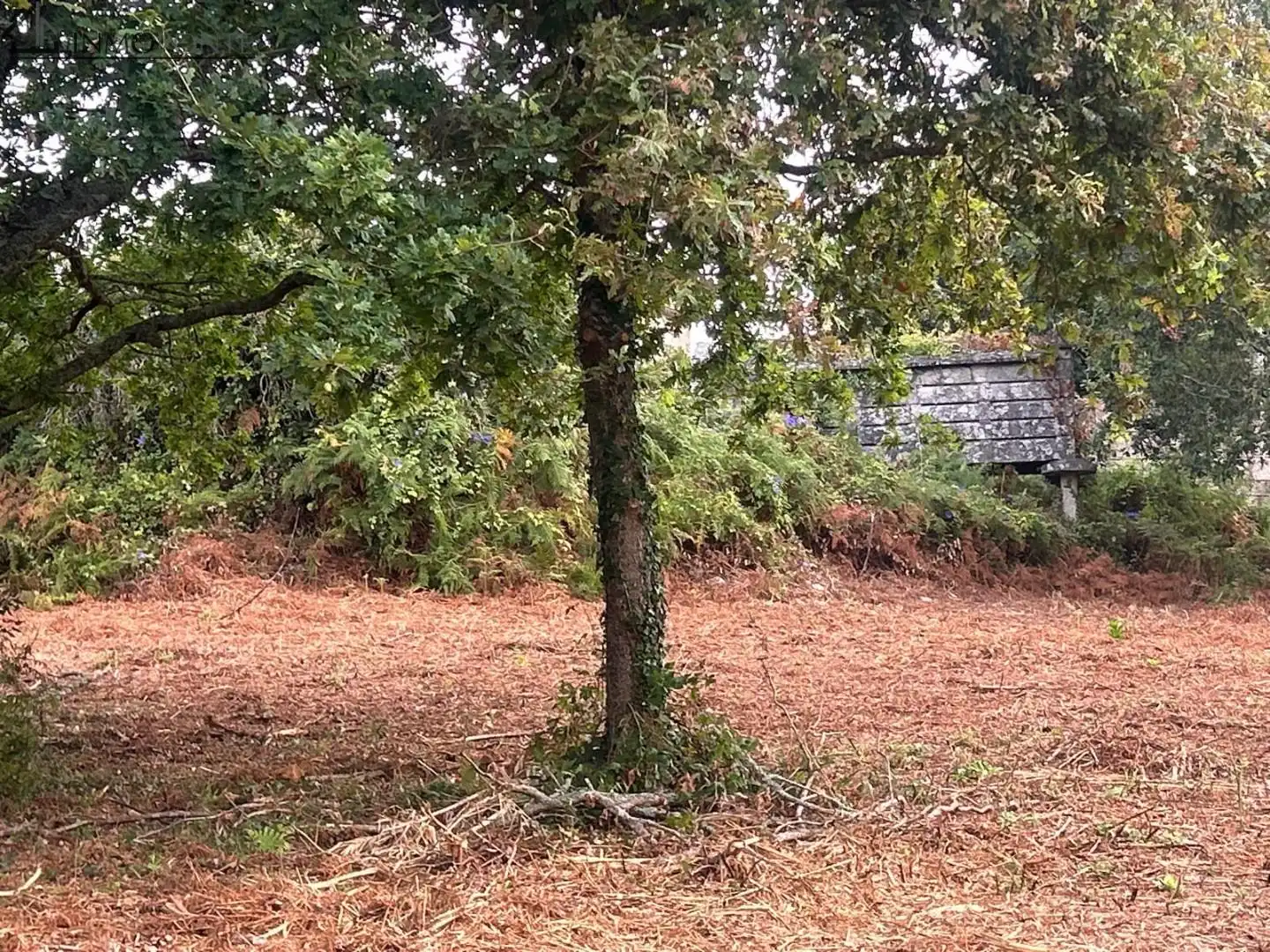 Terrenys i solars en venda a Parroquias Rurales, imagen 19