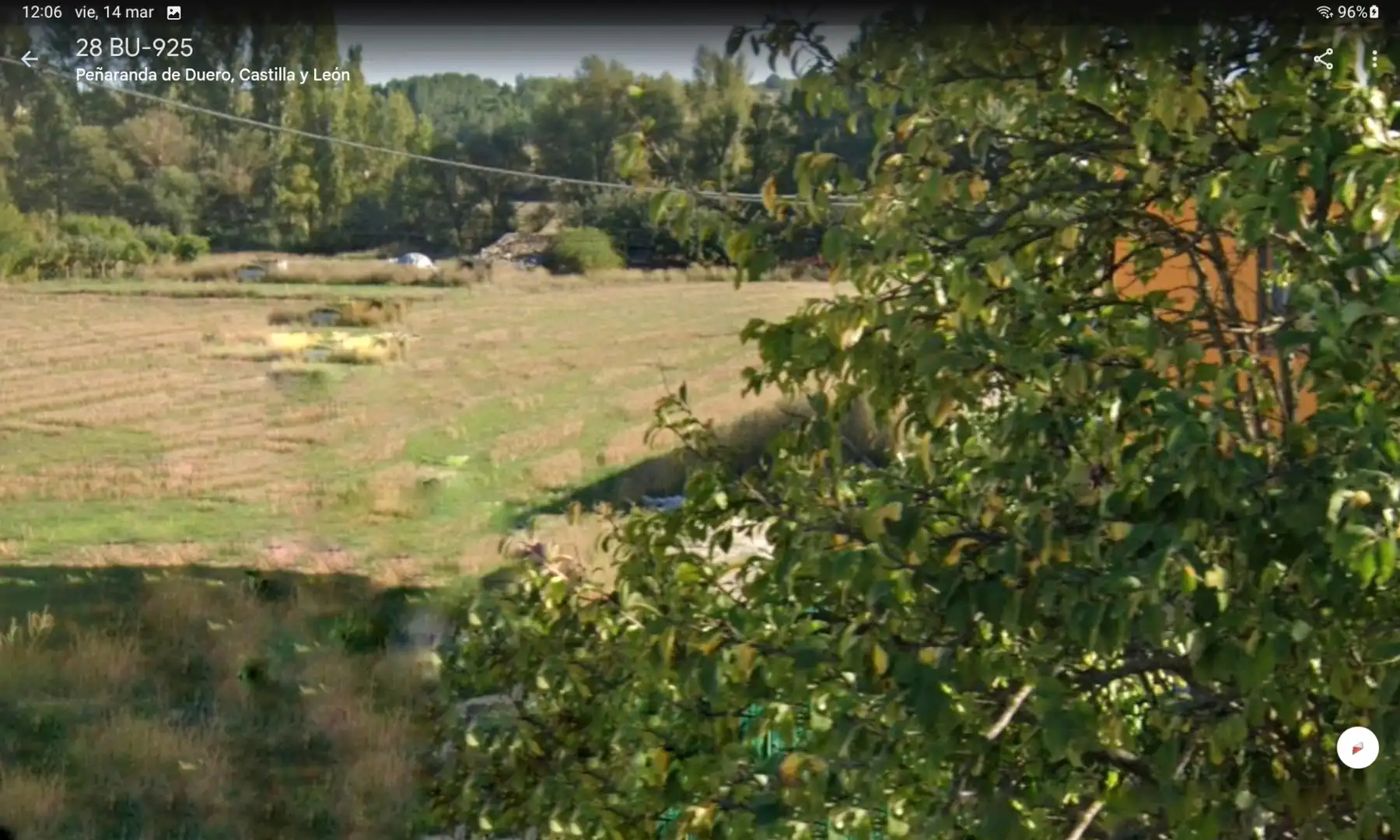 Terreno rústico en venta en Terreno el Palomar 35, imagen 10
