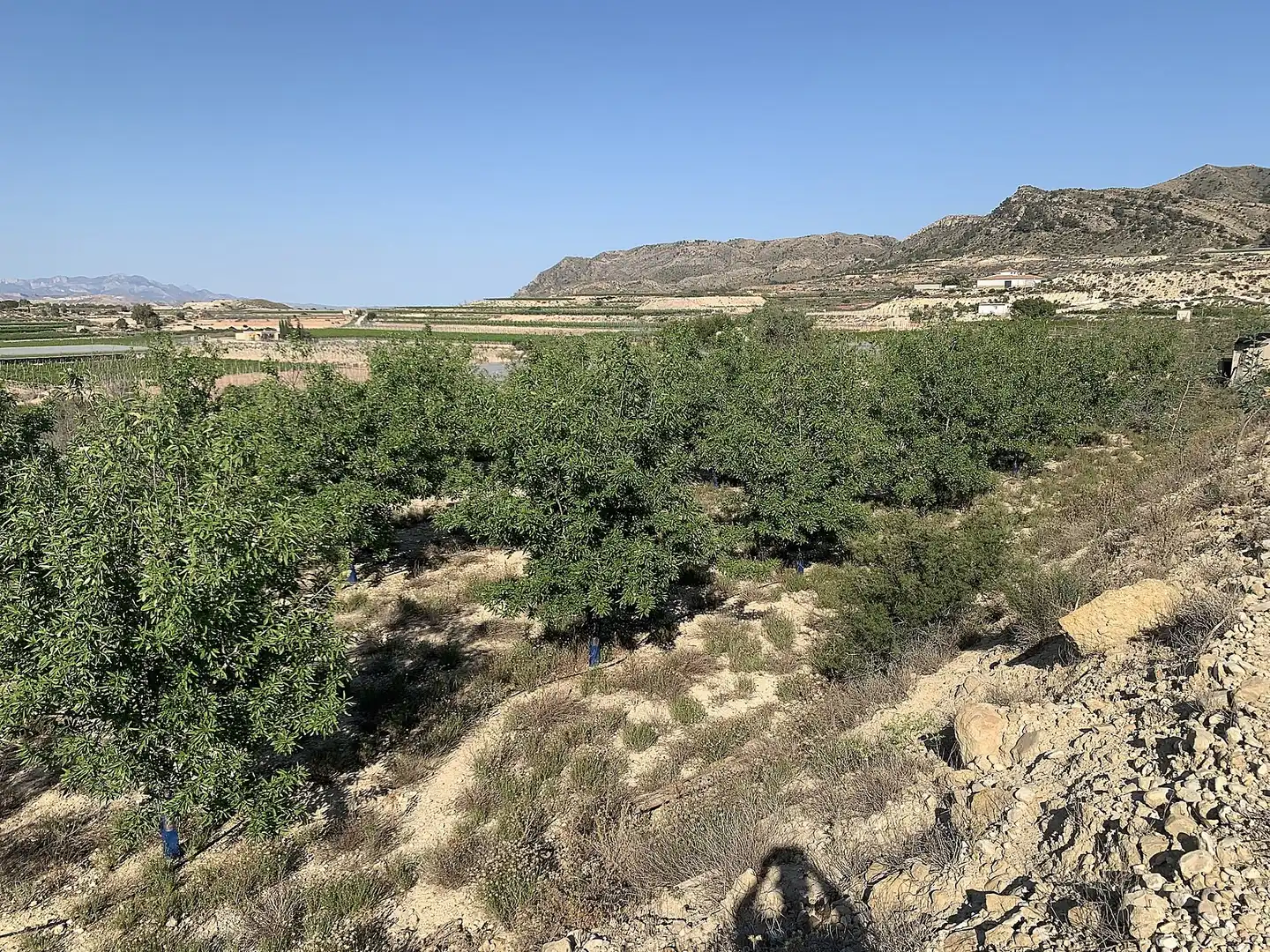 Terreno residencial en venta en Monforte del Cid, imagen 2