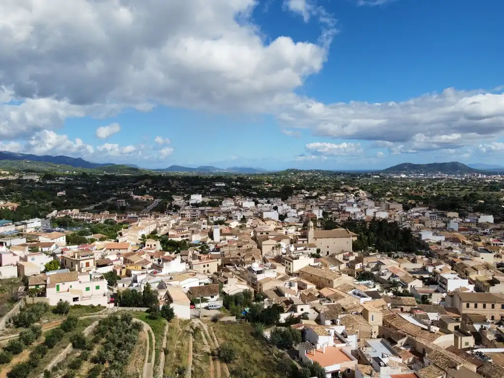 Vista exterior de Finca rústica en venda en Lloseta amb Jardí privat i Terrassa