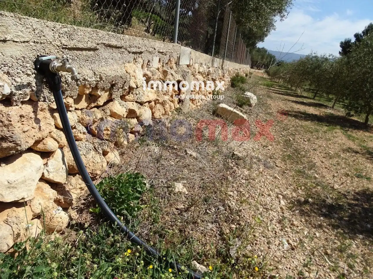 Terrenos y solares en venta en 63, imagen 2