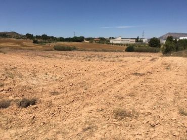 Terreno rustico in vendita a Almansa