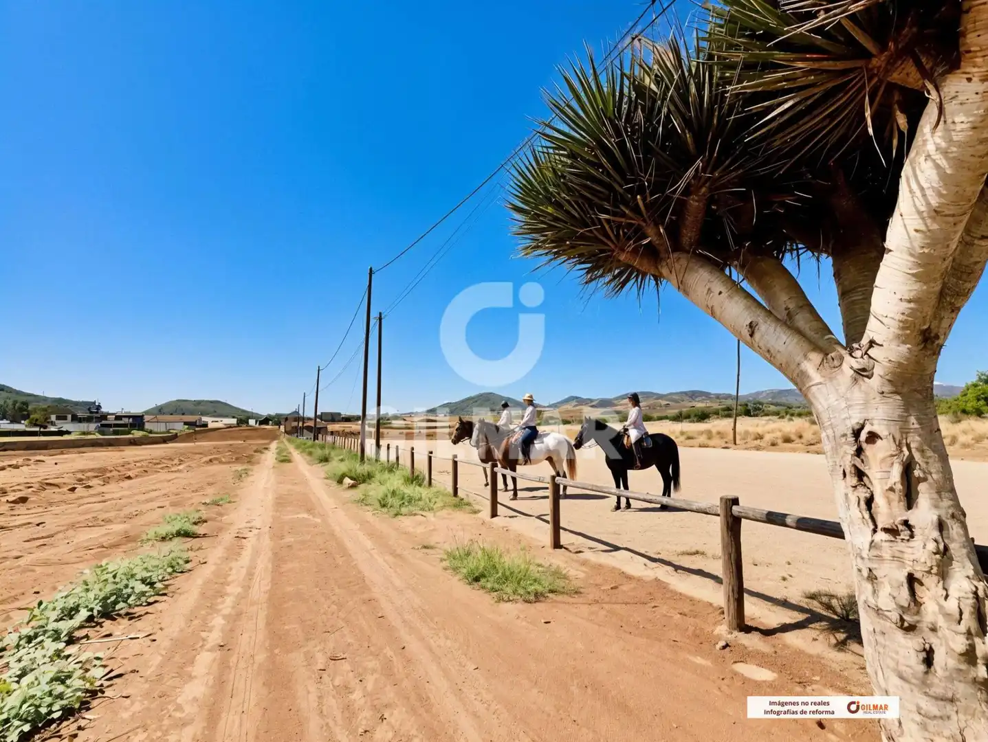 Vista exterior de Finca rústica en venda en San Cristóbal de la Laguna
