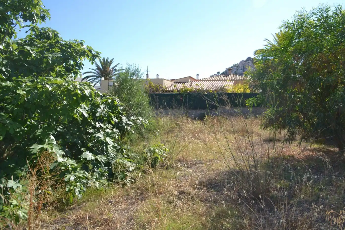 Terreni e lotti in vendita a Port d'Andratx, imagen 10