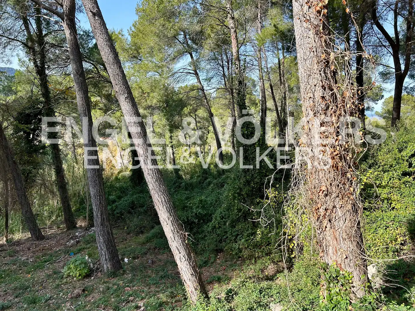 Terreny residencial en venda a Corbera de Llobregat, imagen 9