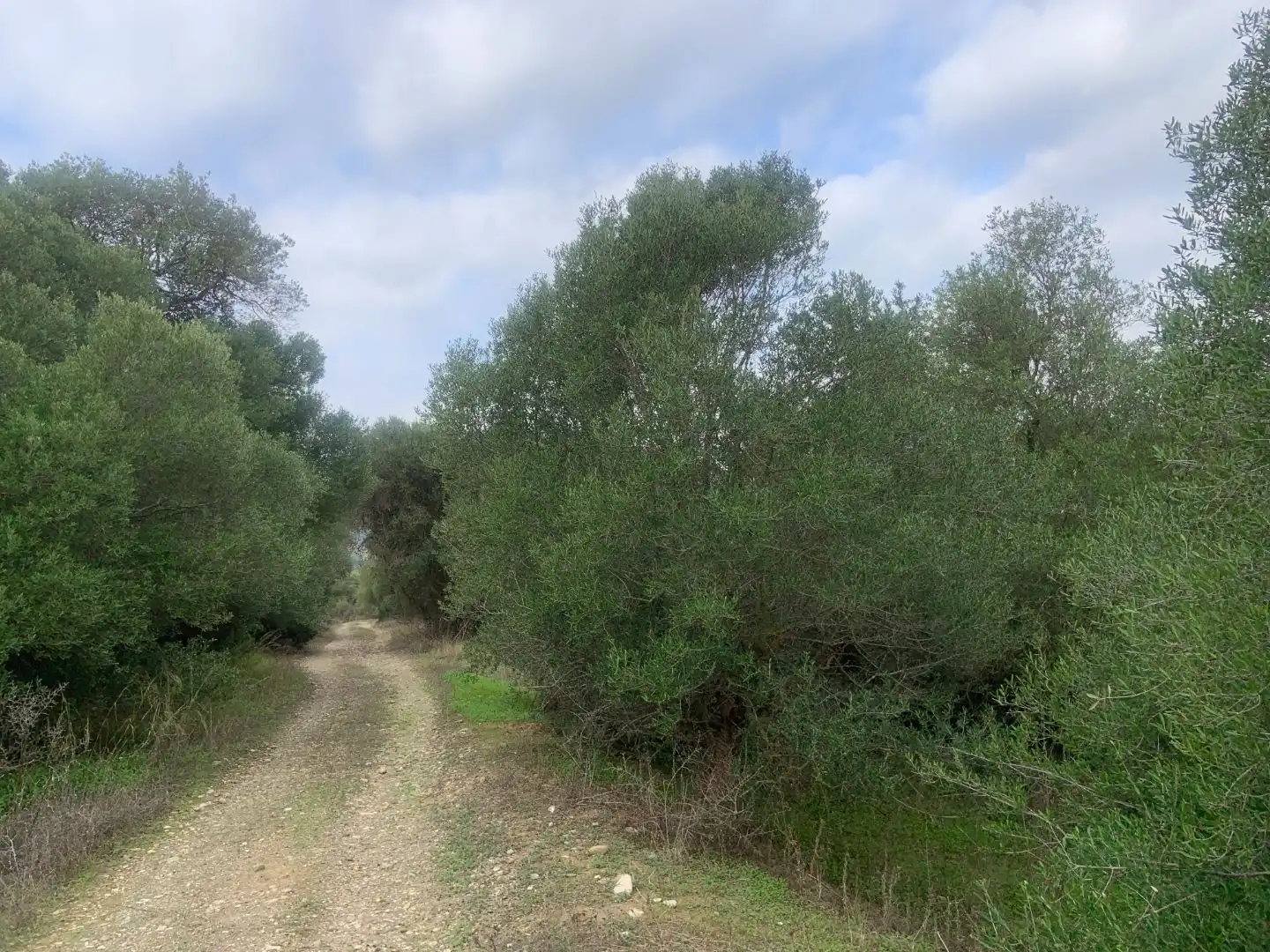 Terreno en venta en Casares
