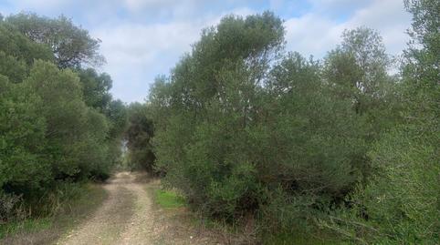 Foto 4 de Terreno en venta en Calle Gaucin, 1, Casares pueblo, Casares
