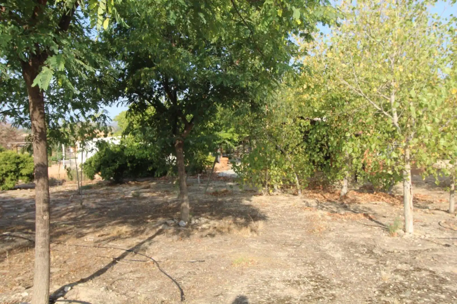 Casa o xalet en venda en Mula