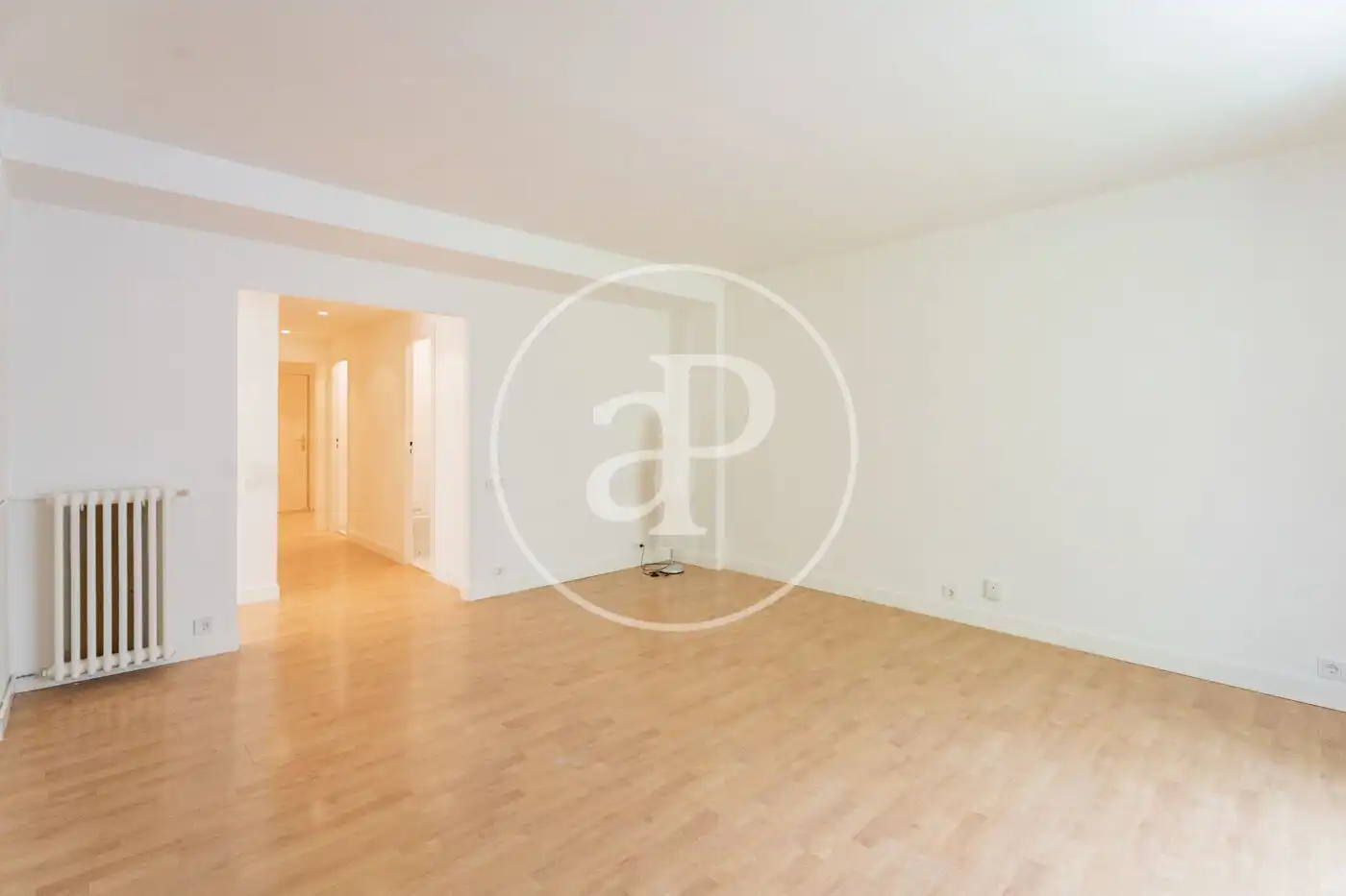 Sala d'estar de Pis de lloguer en Madrid amb Aire condicionat i Calefacció