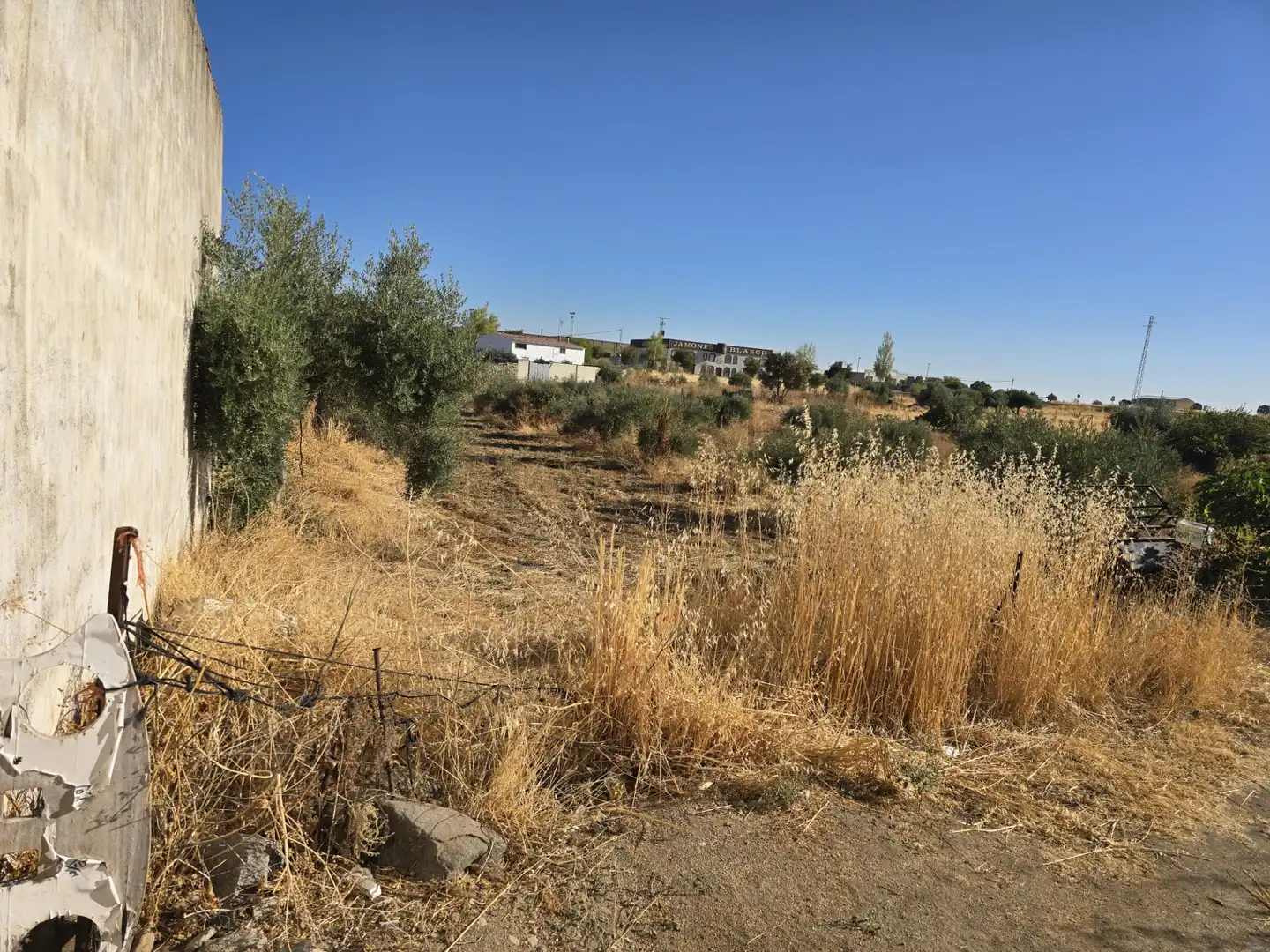 Terreno rustico in vendita a Calle Reyes Catolicos 71, imagen 3