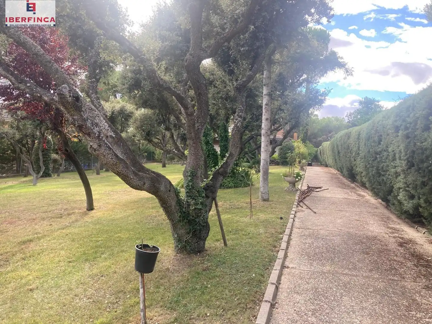 Xalet amb piscina en venda a Tordesillas, imagen 4