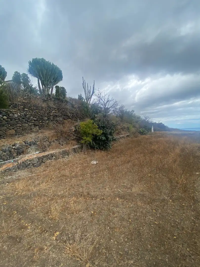 Finca rústica en venta en Los Llanos de Aridane con Jardín privado y Amueblado