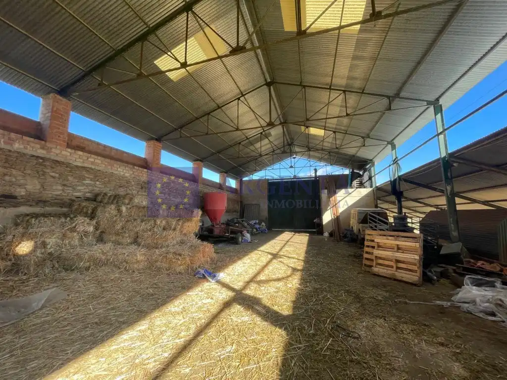 House for sale in Diseminados Carrascal, imagen 7
