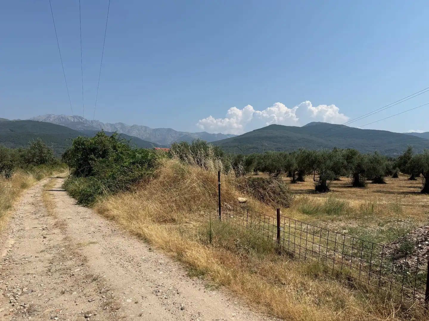 Terreni e lotti in vendita a Candeleda, imagen 10