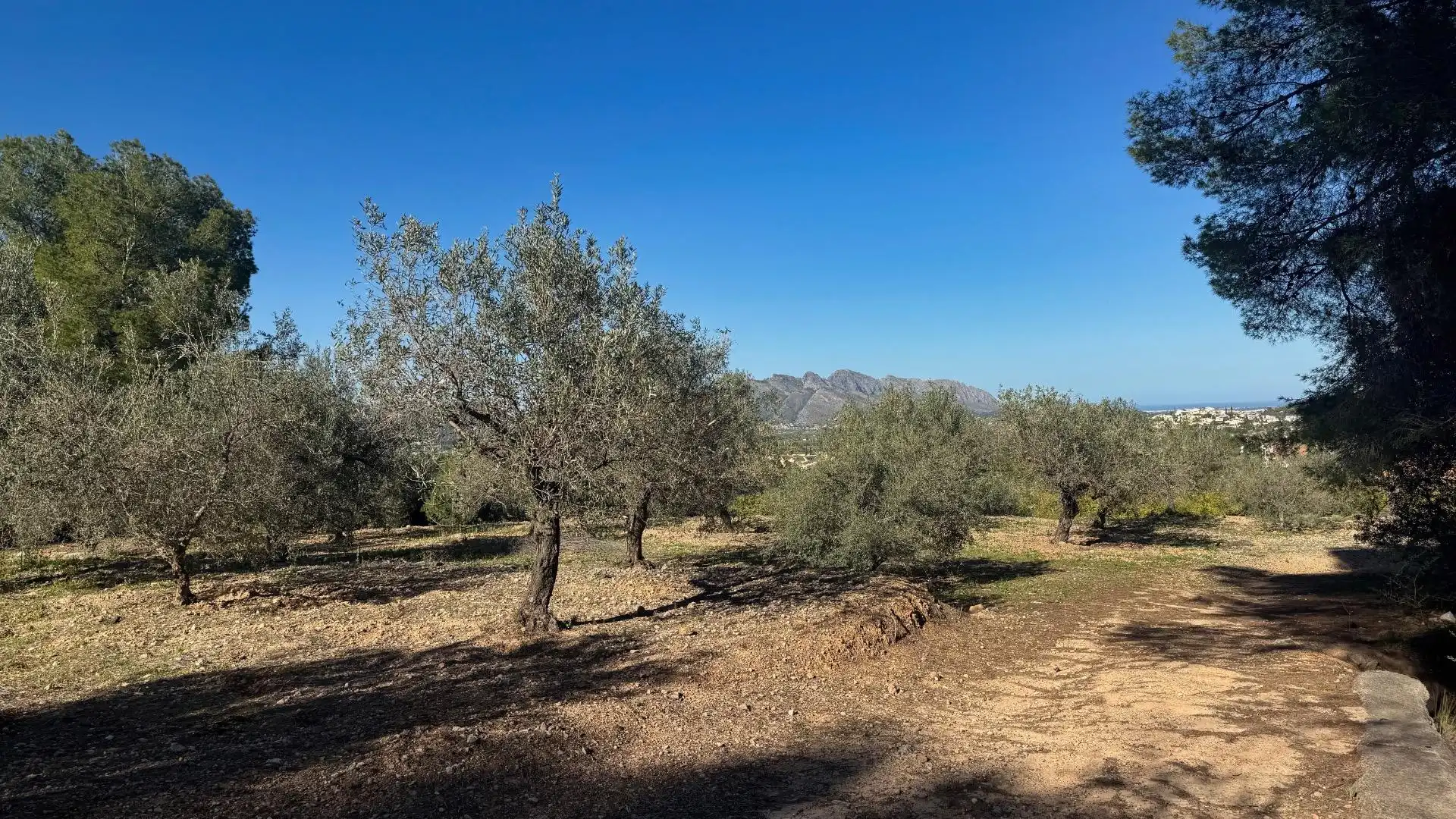 Terrenos y solares en venta en Orba, imagen 10