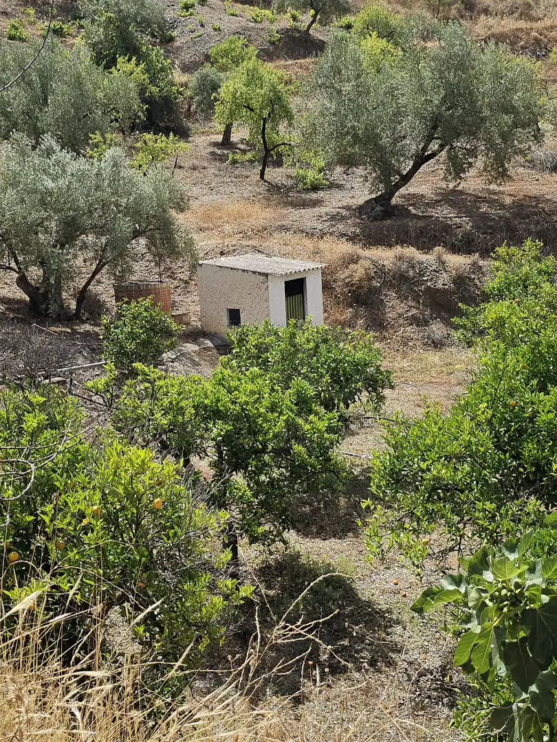 Casa rústica amb piscina en venda a Sedella, imagen 20
