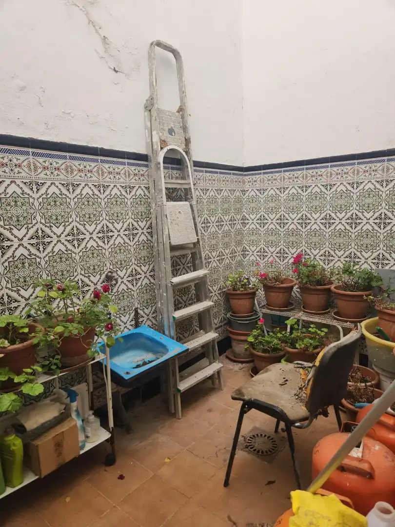Garden of Houses for sale in San Fernando