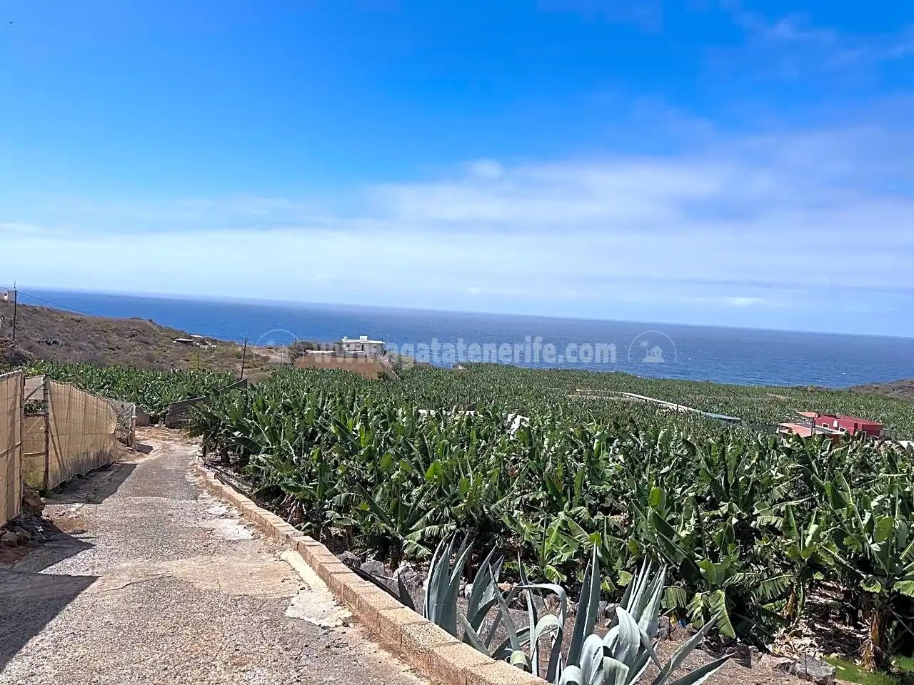 Casa rustica con giardino in vendita a Buenavista del Norte, imagen 2