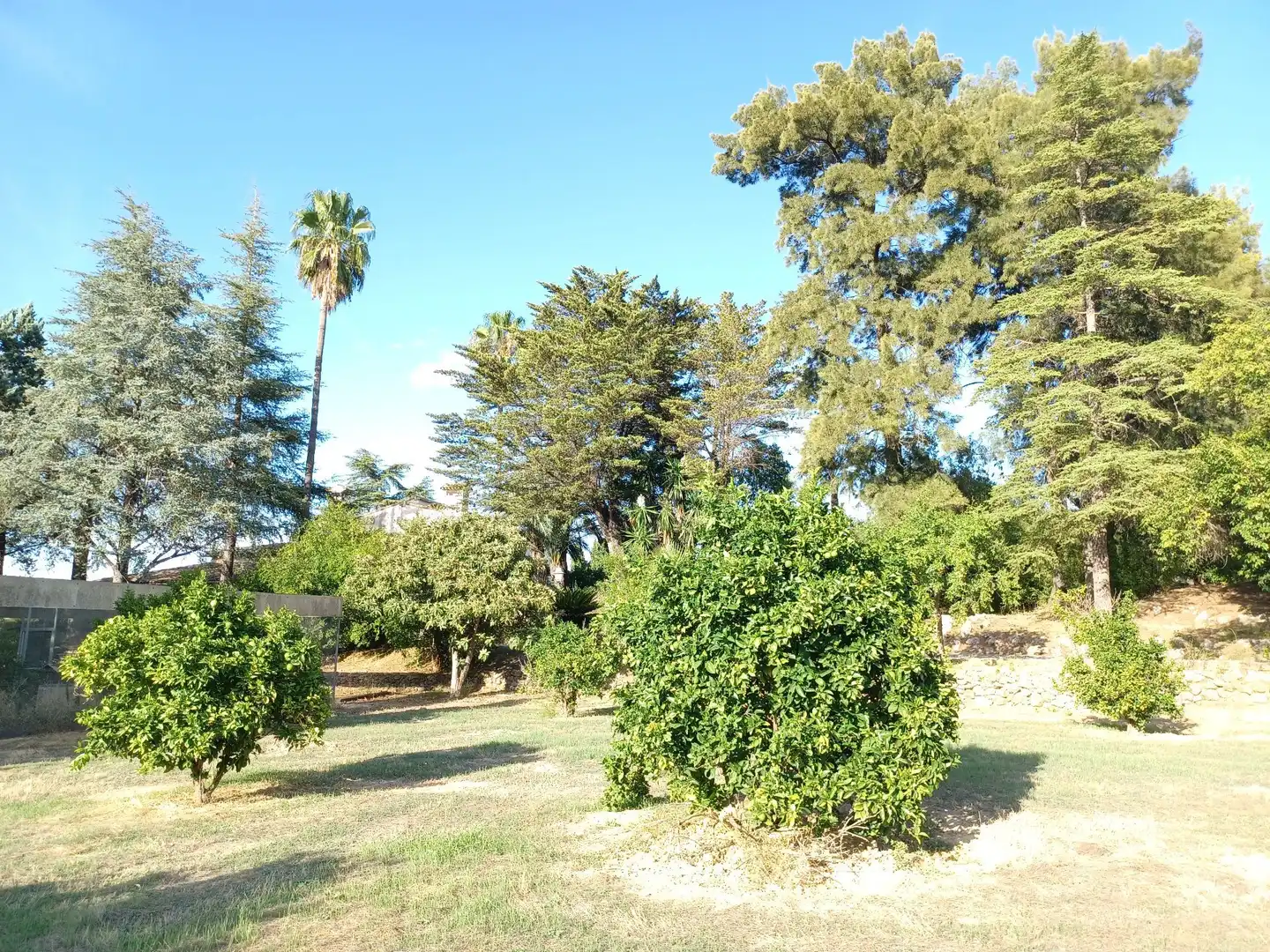 Garden of Houses for sale in Albaida  with Storage room and Swimming Pool