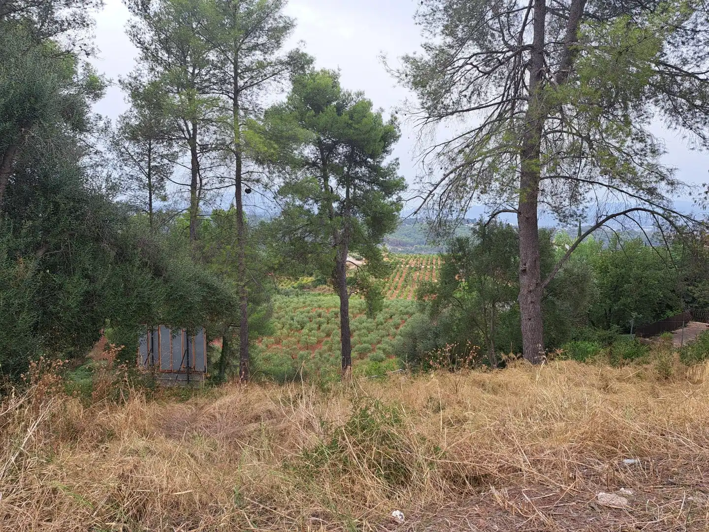 Residencial en venta en Castellví de Rosanes