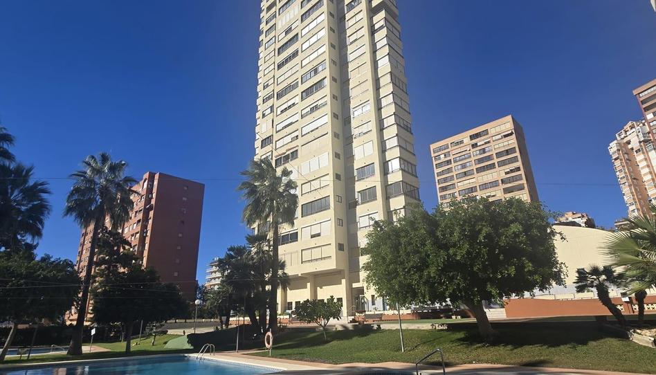 Photo 1 of Apartment for sale in Juzgados - Plaza de Toros, Alicante