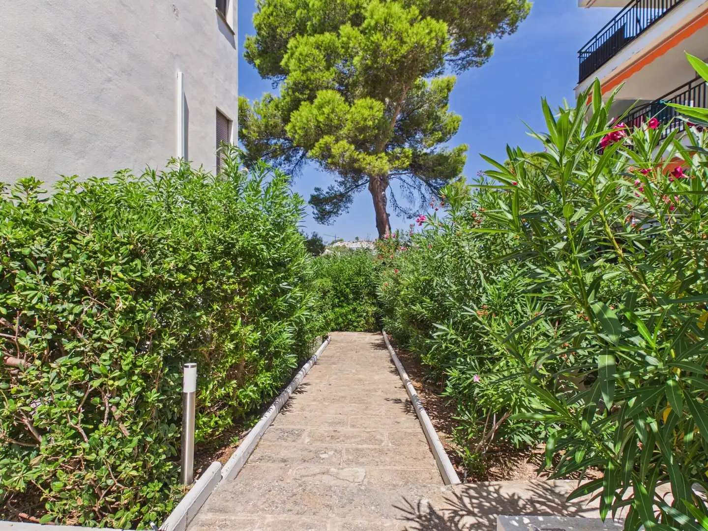 Jardí de Apartament en venda en Calvià amb Aire condicionat i Terrassa