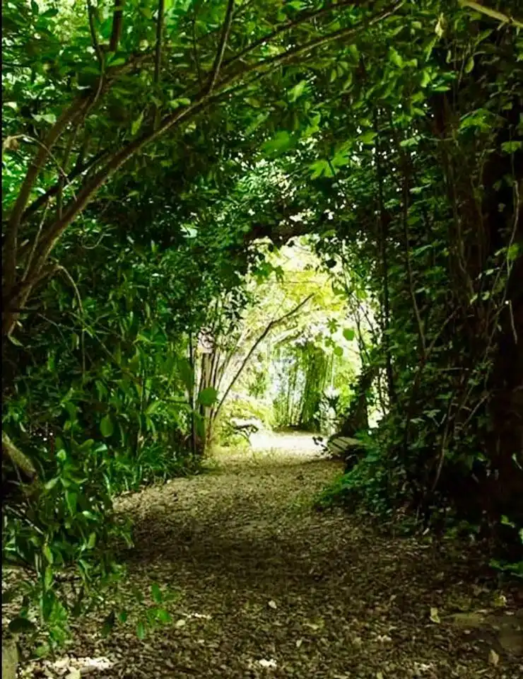 Haus mit Garten zum Verkauf in La Parra, imagen 2