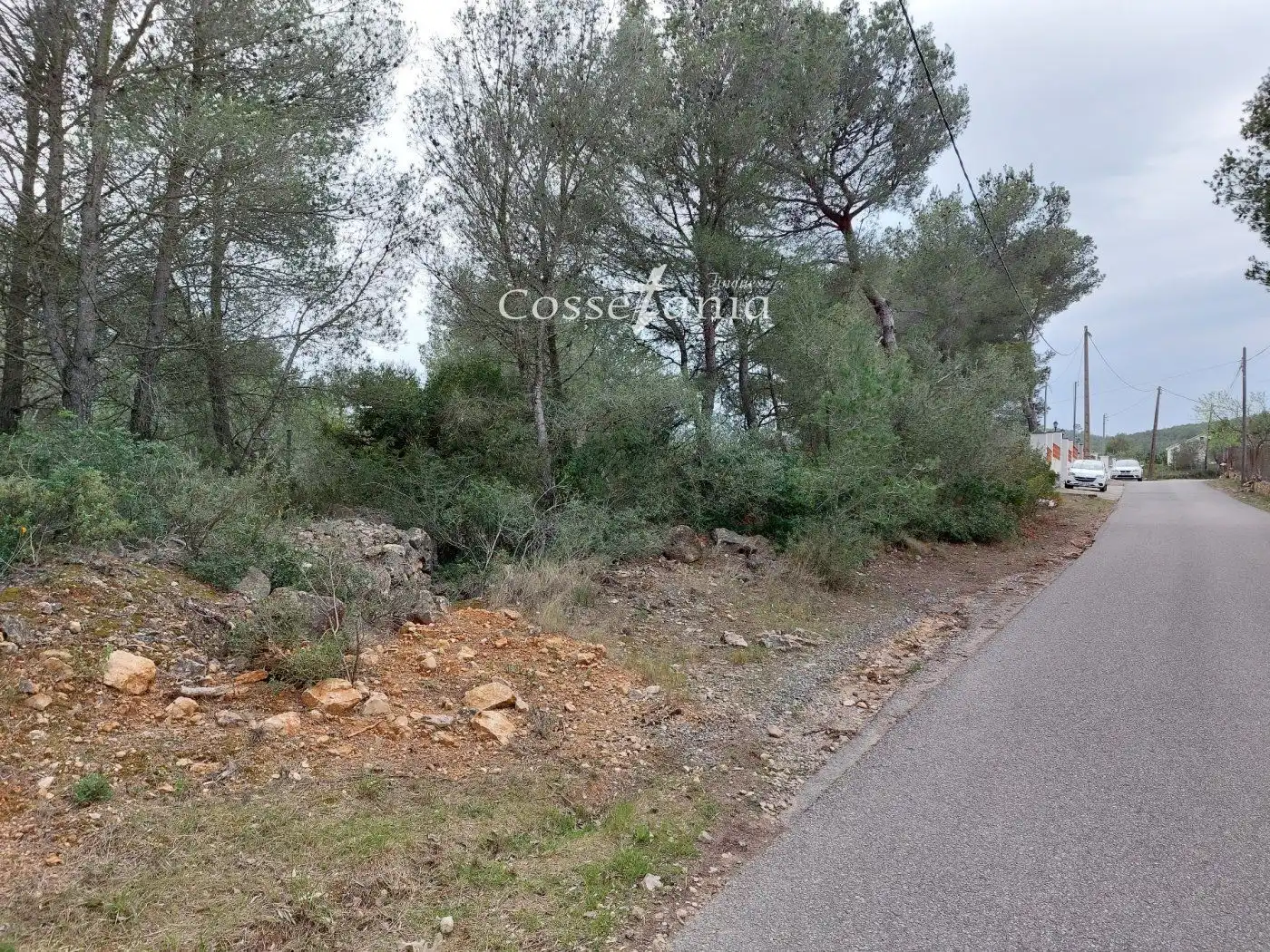 Rural land for sale in avet de l'  en  la masieta, imagen 5