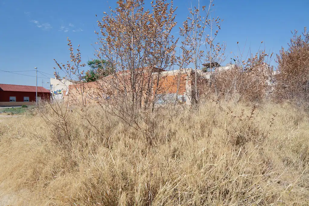 Terreno en venta en Murcia