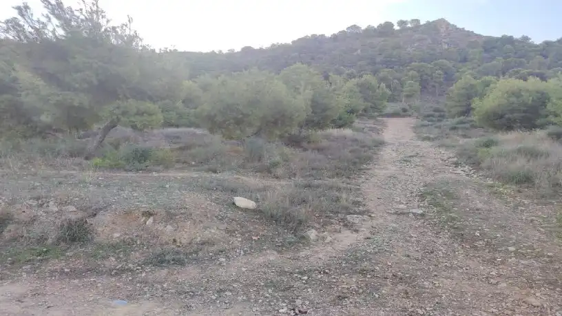 Terrenys i solars en venda a Pedanías Este, imagen 10