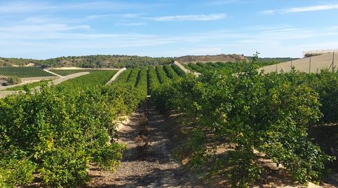 Foto 5 de Terreno en venta en Calle Orihuela, 13, Orea, Guadalajara