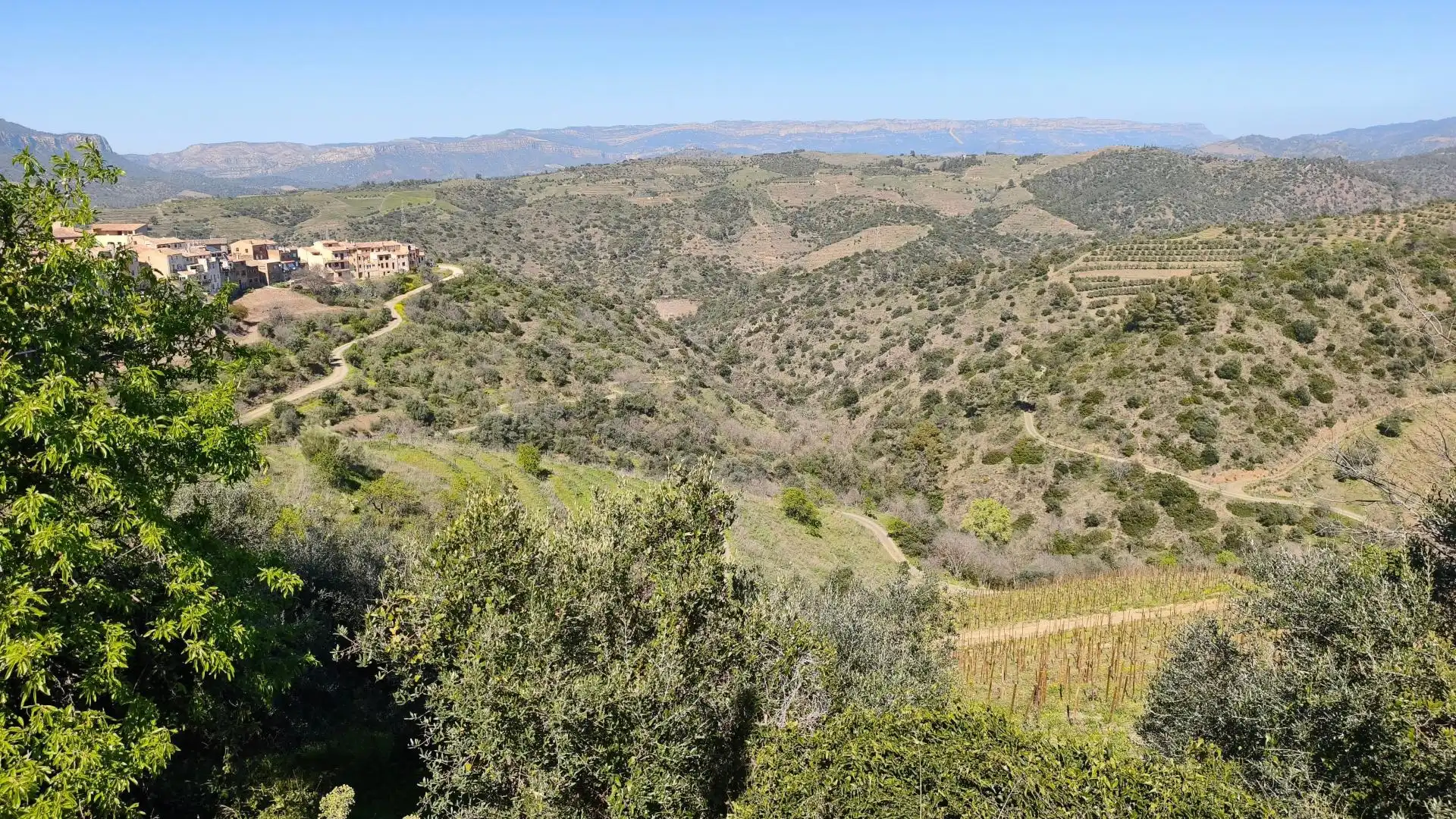 Außenansicht von Grundstücke zum Verkauf in El Molar (Tarragona)