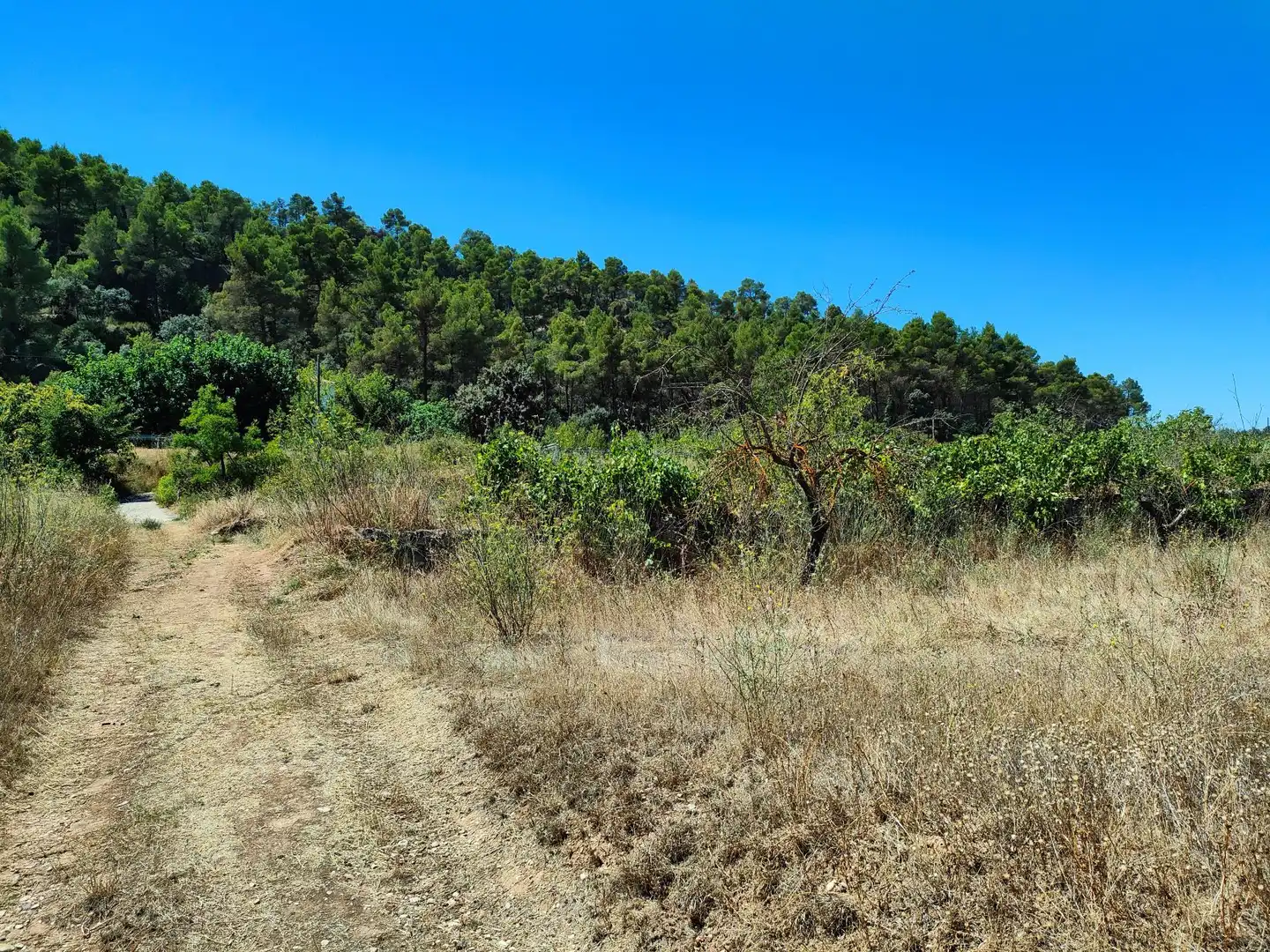 Finca rústica en venta en Valderrobres