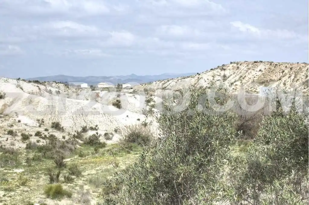 Terreny rústic en venda a Coto de los Albardinales