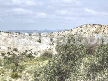 Terreno rústico en venta en Coto de los Albardinales