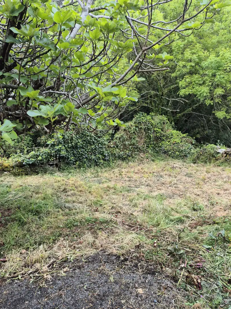 Finca rústica en venta en As Somozas  con Jardín privado