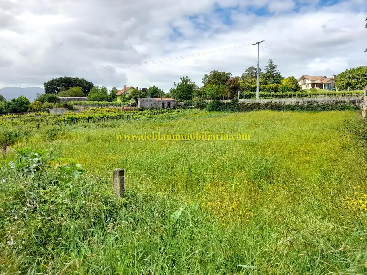 Terreny residencial en venda a Tomiño, imagen 3