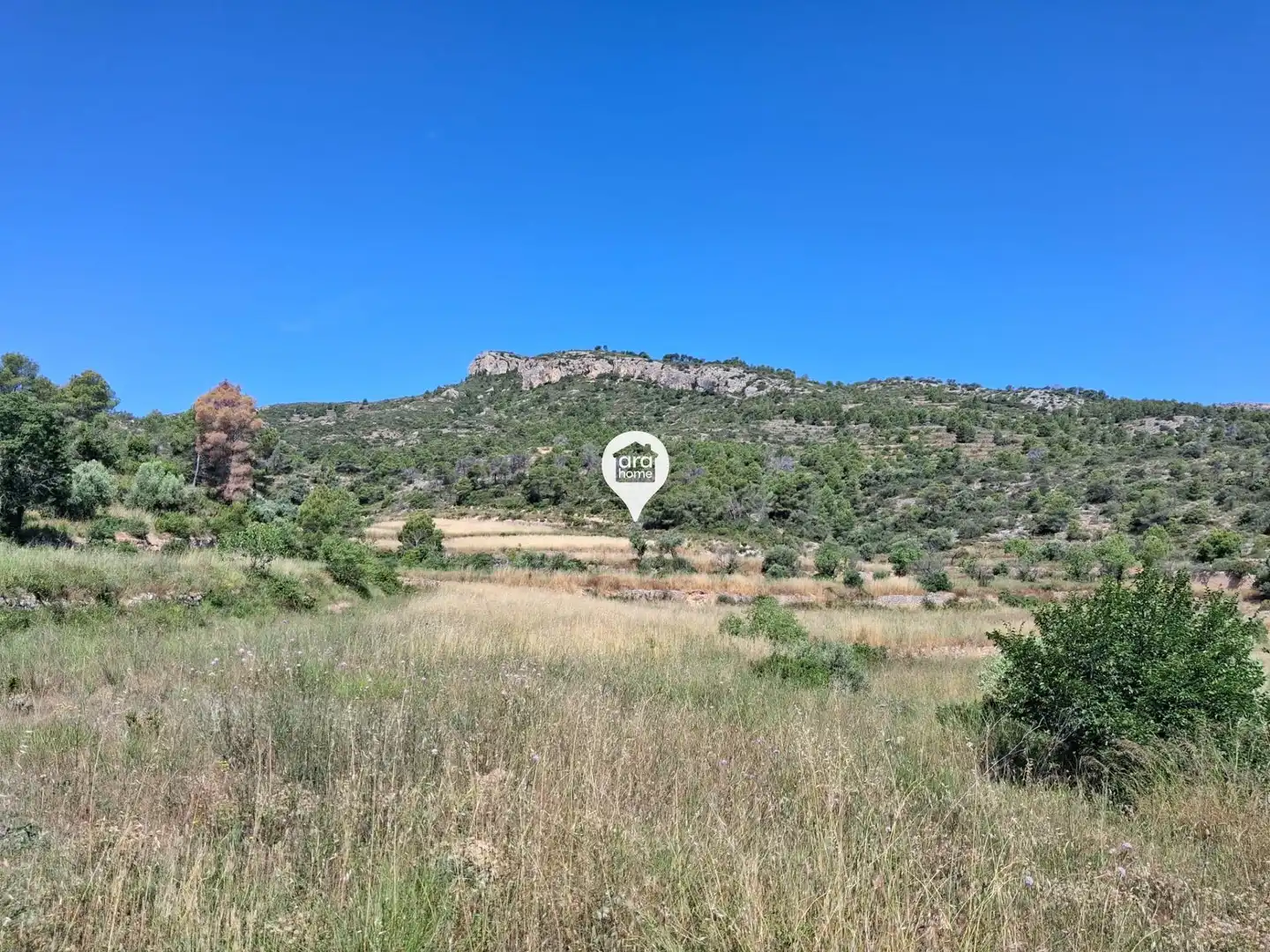 Land for sale in Madrid