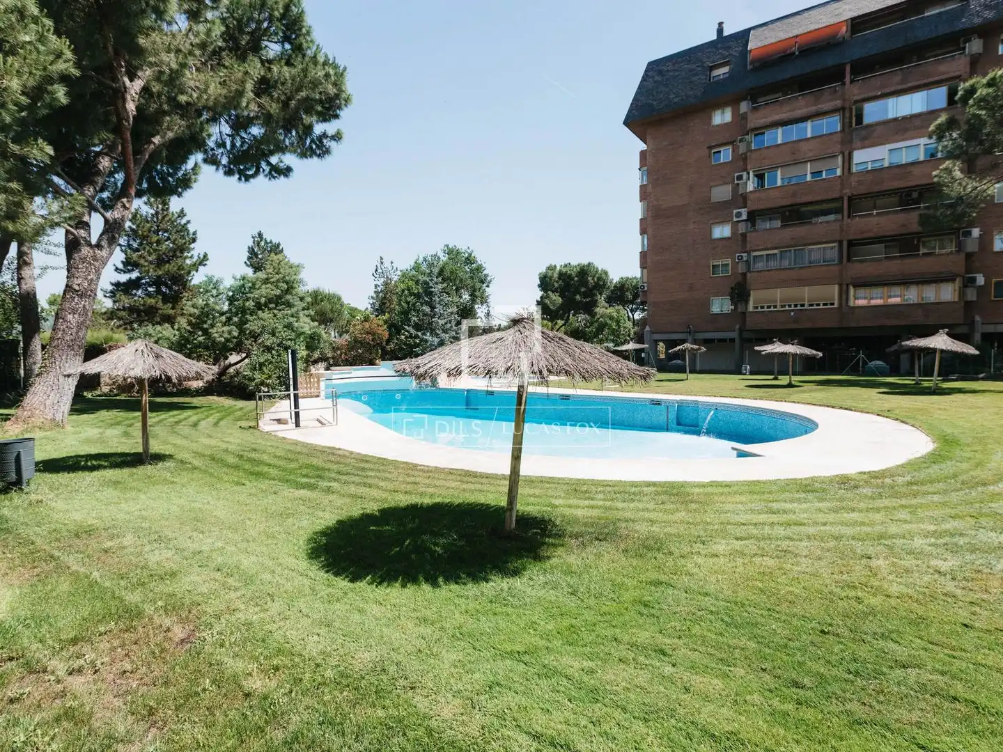 Swimming pool of Flat for rent in Madrid  with Air Conditioner, Heating and Private garden