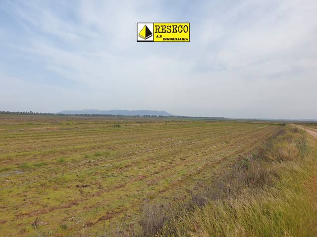 Terreno en Venta en Calle Nueva en Madrigalejo