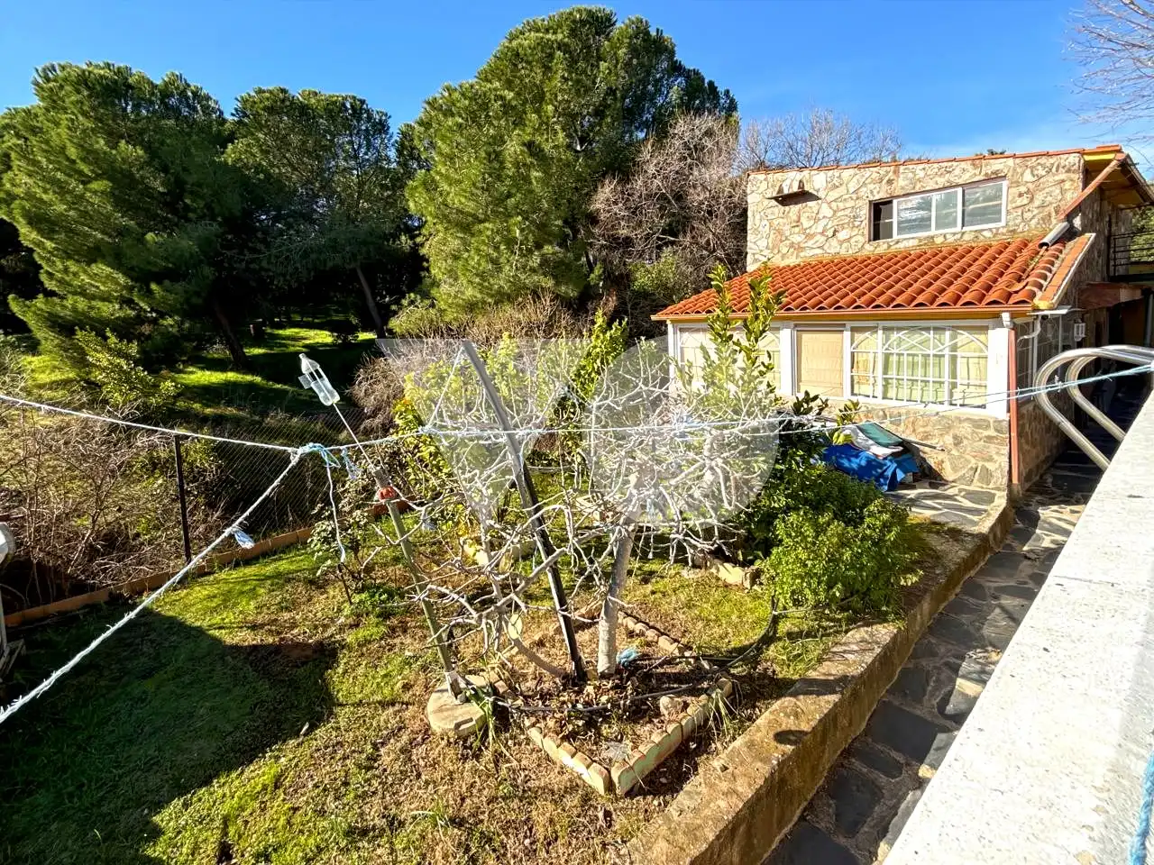 Jardín de Casa o chalet en venta en Ribatejada con Jardín privado, Terraza y Piscina