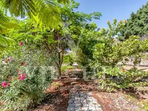 Garden of Houses for sale in Playa del Cura - Taurito